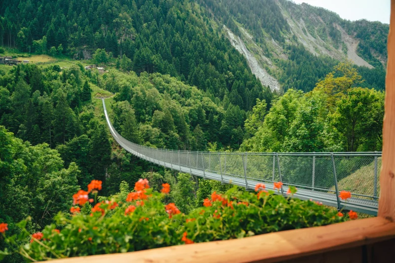 AnyConv.com__gallery 18