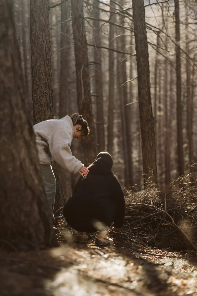 immergiamoci insieme nel bosco